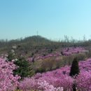 한돈희 이미지