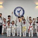 국제고려태권도 이미지