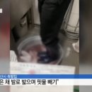 보배족발 - 시흥시 월곶중앙로 29 | 보배족발