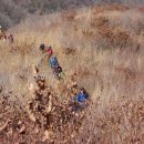 원산목장 이미지