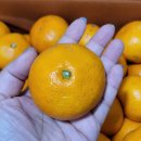 홍순농장 이미지