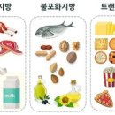 스밀로짐 이미지