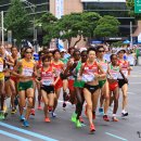 2011 대구세계육상선수권대회 여자마라톤 경기장면 이미지