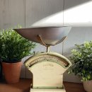 솔터로-L 이미지