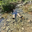 도기캠프 이미지