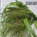 전혜숙농장 이미지