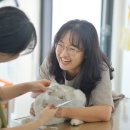 이쁘냥 고양이미용실 대전점 이미지