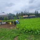 김종섭농장 이미지