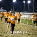 경주로 스포츠경향