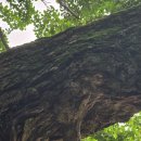 흥주사 | [충남] 2025, 태안 … 2. 흥주사