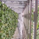 유비엔(주) 이미지