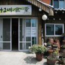 제주나그네 이미지