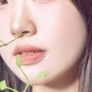 실링스튜디오 이미지