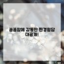 안치과의원 이미지