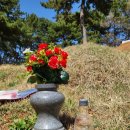 대천유통(주)대천(상)휴게소(한식) | 한식전후 고향 무창포 선친묘소 제초제(모뉴먼트, 팜가드) 살포 후기
