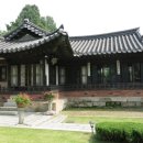 윤보선 카카오 검색결과