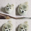 몽스타 이미지