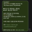 [2편] 독립출판 불안 에세이 &#39;나의 고통에게&#39; 제작기 - 본문 제작 과정