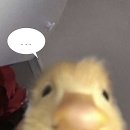 OK의원 | [ 부산 당리 ] 도수치료 잘하는 곳 당리OK의원 솔직후기