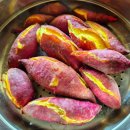 25년 황토 햇밤고구마 3kg 익산 햇고구마 이미지