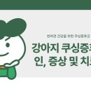 미유펫 동물병원 이미지