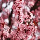 횟집 경포대 이미지