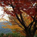 보성상사 이미지