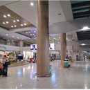 공항 출입국 심사 유의점 이미지