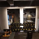 테라피트 이미지