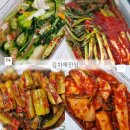 자활센터돌산갓김치 | 전라도 가정식 김치 100%국산 파김치, 갓김치, 물김치 김치애진심