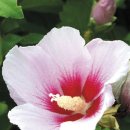 천지학원 이미지