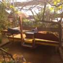 꽃피는 산골 이미지