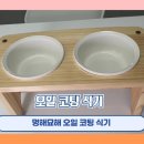 사랑해묘 | 멍해묘해 오일 코팅 식기 사용 후기, 우리 집 반려견(김모모)을 위한 최고의 선택!
