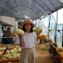 얼쑤농장 이미지