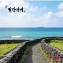 바닷가의오선지 서평 이미지