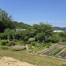 맑은동산