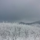 도감마을
