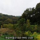 수목부동산중개사무소 이미지