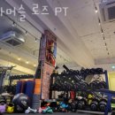 코카머슬로즈PT 이미지