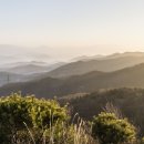 금산사길 이미지
