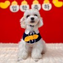 생글댕글 이미지