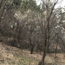 율촌목장 이미지