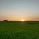 노을들녘 이미지