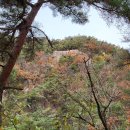 과천청사역 11번 출구 뒤 이미지