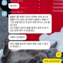 우리들마트리더점 | 요즘 러닝화 사려면 이렇게 힘든 거 맞나요 ..아식스 젤카야노32 구매후기