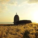 4색여행 이미지