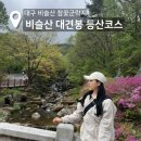 대견사 | 대구 '비슬산' 등산코스 : 자연휴양림-대견사-대견봉 참꽃군락지 후기