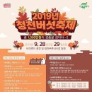 9월 29일 조은새님 스케줄 청천버섯축제 이미지