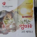 기도하는 엄마들 3주 세미나 이미지