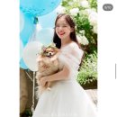 더블라썸 | W7.피치톤 본식스냅 | 2027 더블라썸 수석실장 2인 상품 계약 후기